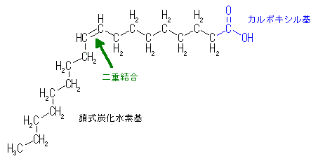 脂肪酸の分類 飽和脂肪酸と不飽和脂肪酸 高級脂肪酸と低級脂肪酸 石鹸百科